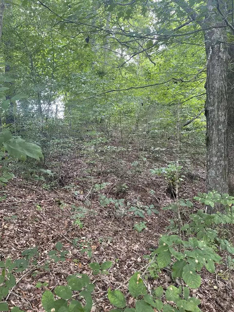 0 Hwy 52 Bypass West W, Lafayette, TN 37083