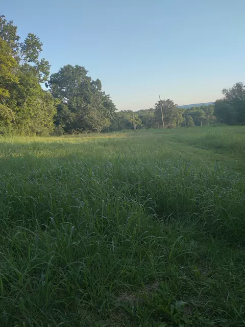 828 Branch Ln, Pulaski, TN 38478