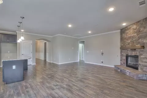 202 Carter Ct, Spring Hill, TN 37174 photo 18