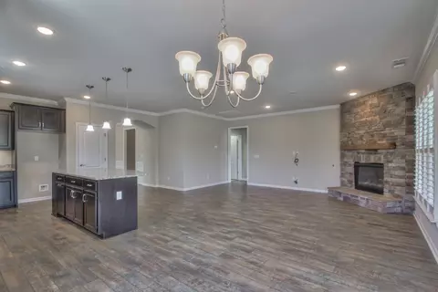202 Carter Ct, Spring Hill, TN 37174 photo 19
