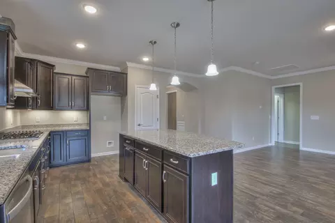 202 Carter Ct, Spring Hill, TN 37174 photo 12