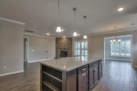 202 Carter Ct, Spring Hill, TN 37174 photo 14