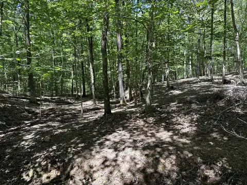 113 Saint Rd, Beech Bluff, TN 38313 photo 24