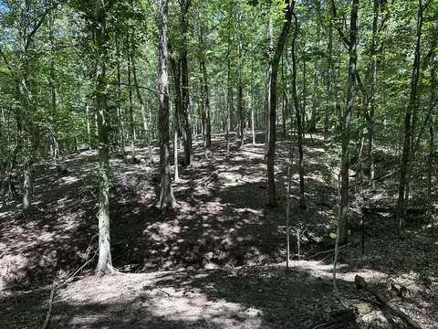 113 Saint Rd, Beech Bluff, TN 38313 photo 23