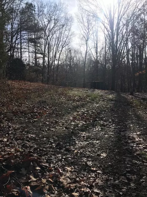 1991 Simmons Ridge Rd, Cornersville, TN 37047