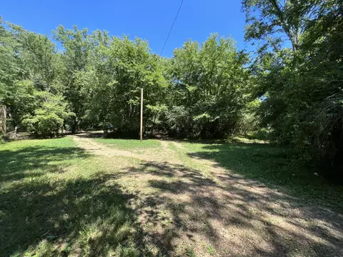 149 W End Ave, Centerville, TN 37033 photo 10