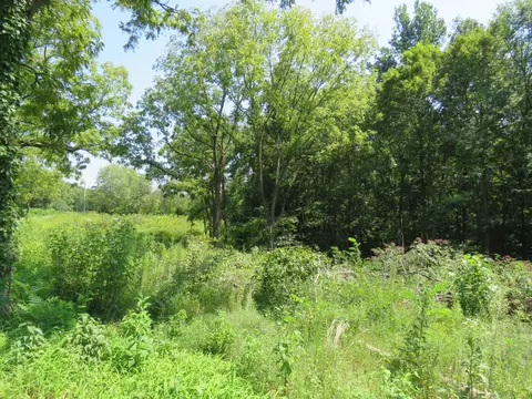0 Henley Rd, Baxter, TN 38544 photo 5