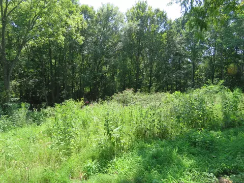 0 Henley Rd, Baxter, TN 38544 photo 3