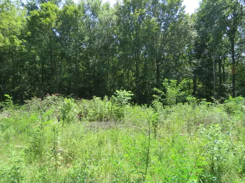 0 Henley Rd, Baxter, TN 38544 photo 2