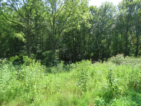 0 Henley Rd, Baxter, TN 38544 photo 4