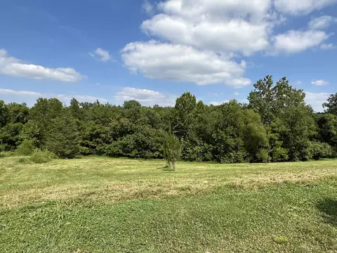9036 Passiflora Ct, College Grove, TN 37046