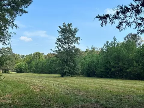 491 Holly Grove Rd-tract 3, Lascassas, TN 37085