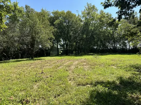 10026 Mona Rd, Murfreesboro, TN 37129 photo 4