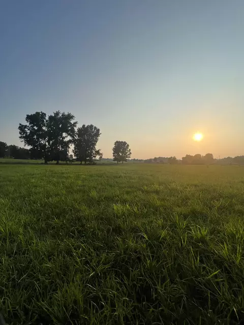 424 Halltown Rd, Portland, TN 37148