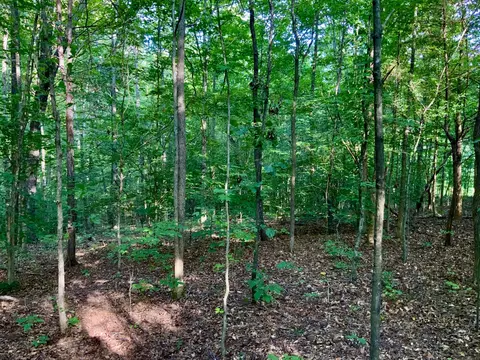 0 Pleasant Hill Rd, Dover, TN 37058