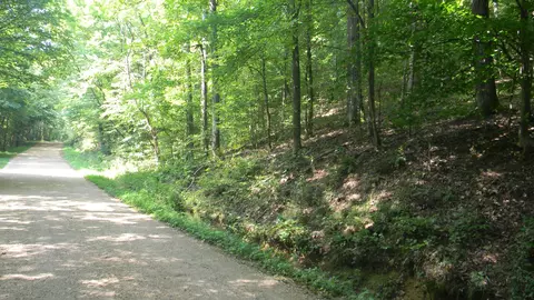0 Mccollum Hollow Rd, Hurricane Mills, TN 37078