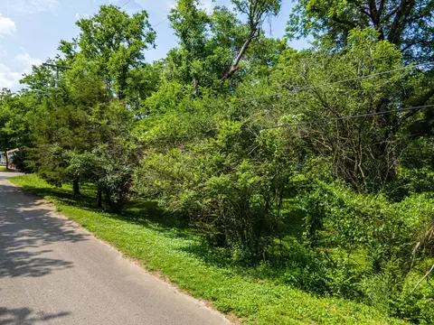 0 Grapevine, Madison, TN 37115 photo 10