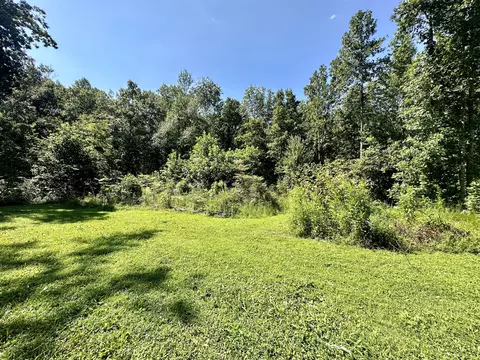 33 Ashley Dr, Beechgrove, TN 37018 photo 20