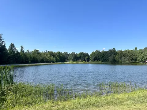 33 Ashley Dr, Beechgrove, TN 37018 photo 24