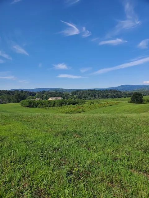 0 Moore Farms Ln, Mcminnville, TN 37110