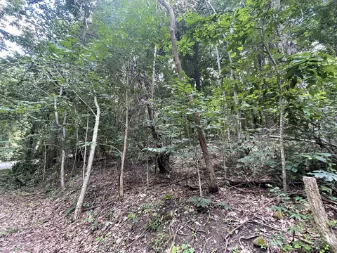 144 Old Mine Ln, Decherd, TN 37324 photo 2