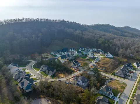 4101 Barnsley Loop, Ooltewah, TN 37363 photo 51