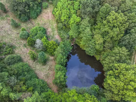 0 S Eno Rd, Dickson, TN 37055 photo 3