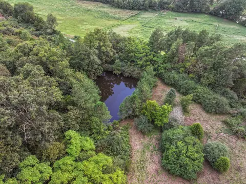 0 S Eno Rd, Dickson, TN 37055 photo 7