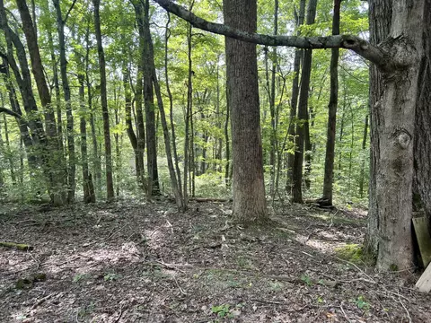 124 Lydia Rd, Dover, TN 37058 photo 9