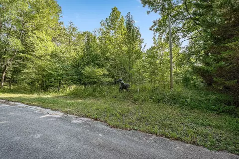 255 Caney View Cir, Quebeck, TN 38579 photo 14
