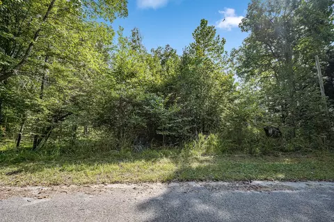 255 Caney View Cir, Quebeck, TN 38579 photo 12