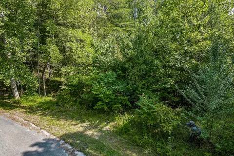 255 Caney View Cir, Quebeck, TN 38579 photo 13