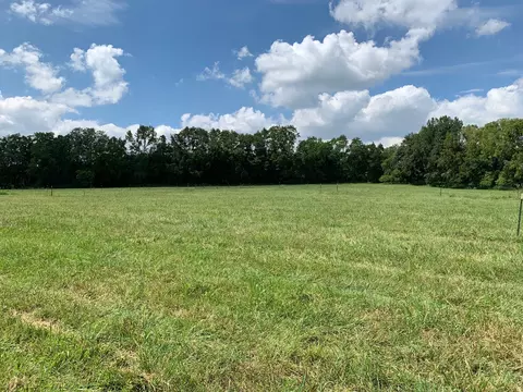 6724 Timothy Grove Ln, College Grove, TN 37046