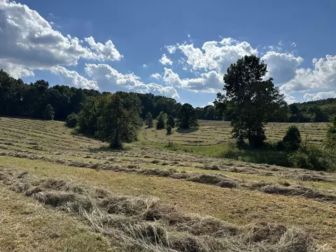 185 William Eden Rd, Westmoreland, TN 37186