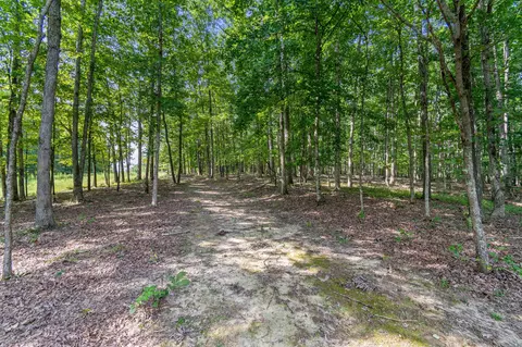 3748 Aydelott Rd, Centerville, TN 37033 photo 50