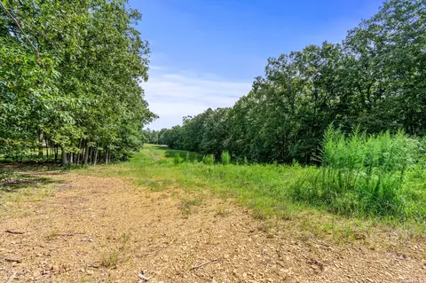 3748 Aydelott Rd, Centerville, TN 37033 photo 52