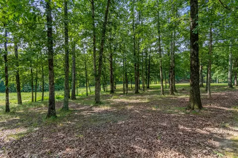 3748 Aydelott Rd, Centerville, TN 37033 photo 42