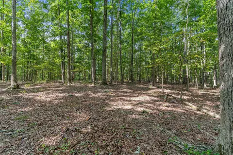 3748 Aydelott Rd, Centerville, TN 37033 photo 51