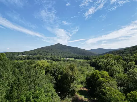 0 County Road 12, Hollytree, AL 35751