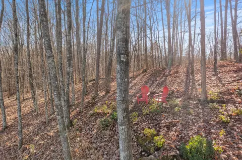 0 Summit Way, Jasper, TN 37347 photo 8