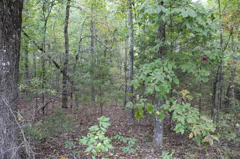 9016 Bryan Rd, Harrison, TN 37341 photo 7