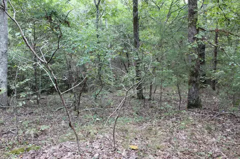 9016 Bryan Rd, Harrison, TN 37341 photo 5