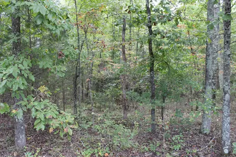 9016 Bryan Rd, Harrison, TN 37341 photo 8