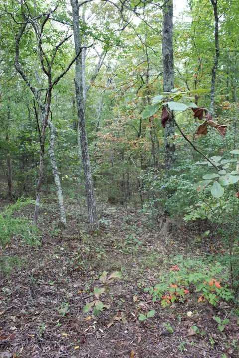 9016 Bryan Rd, Harrison, TN 37341 photo 6