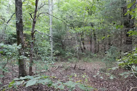 9016 Bryan Rd, Harrison, TN 37341 photo 3