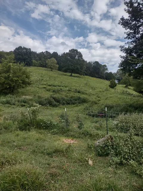 3158 Pulaski Hwy, Frankewing, TN 38459