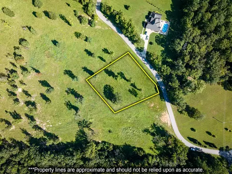 111 Carrington Pl, Parsons, TN 38363