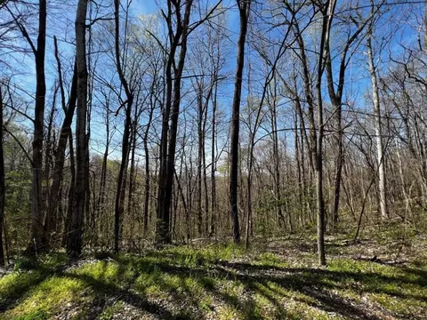 0 Swiper Dr, Smithville, TN 37166