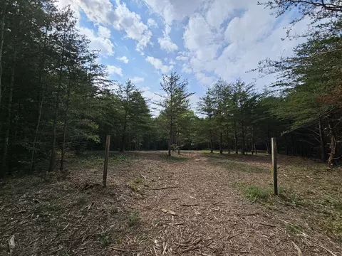 20 Campbell Rd N, Altamont, TN 37301