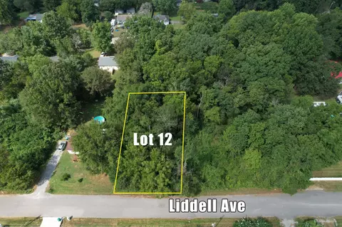 424 Liddell Ave, Smyrna, TN 37167